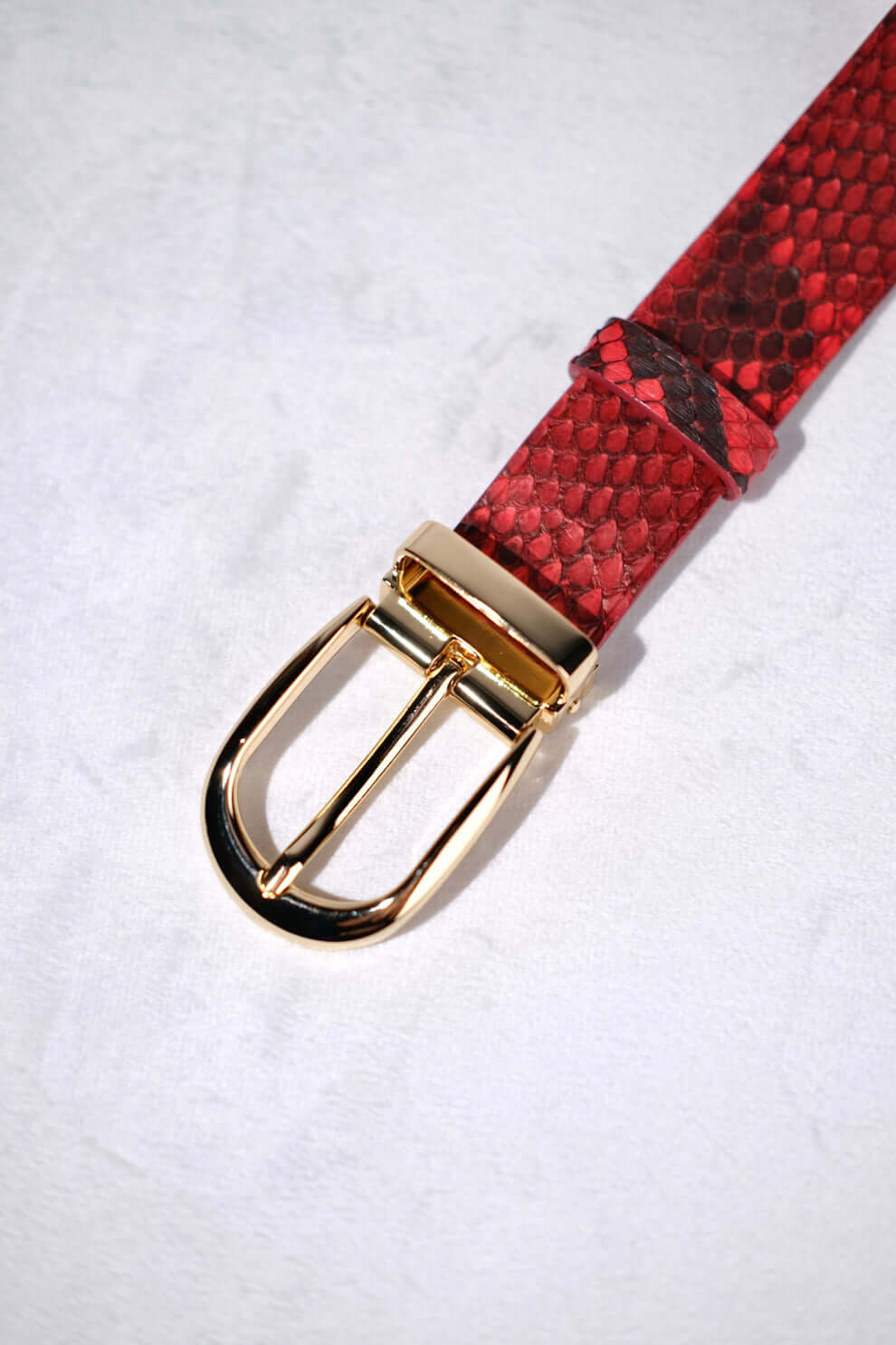 RED PYTHON BELT
